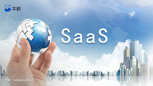 計算機信息技術開發中牛蟻的巧妙應用